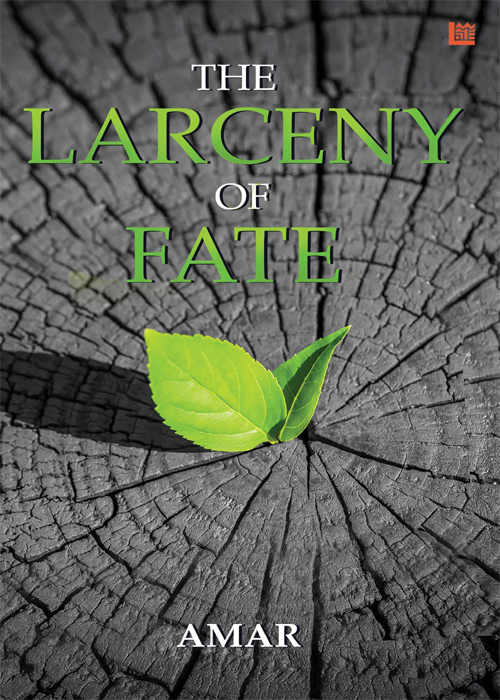 The Larceny of Fate Book Cover